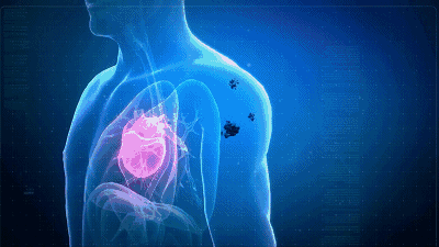 欧籁桑拿房:你有了解过远红外这种神奇光线吗?_人体