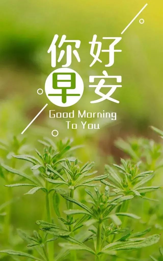 早安心语,早安问候语一句话!