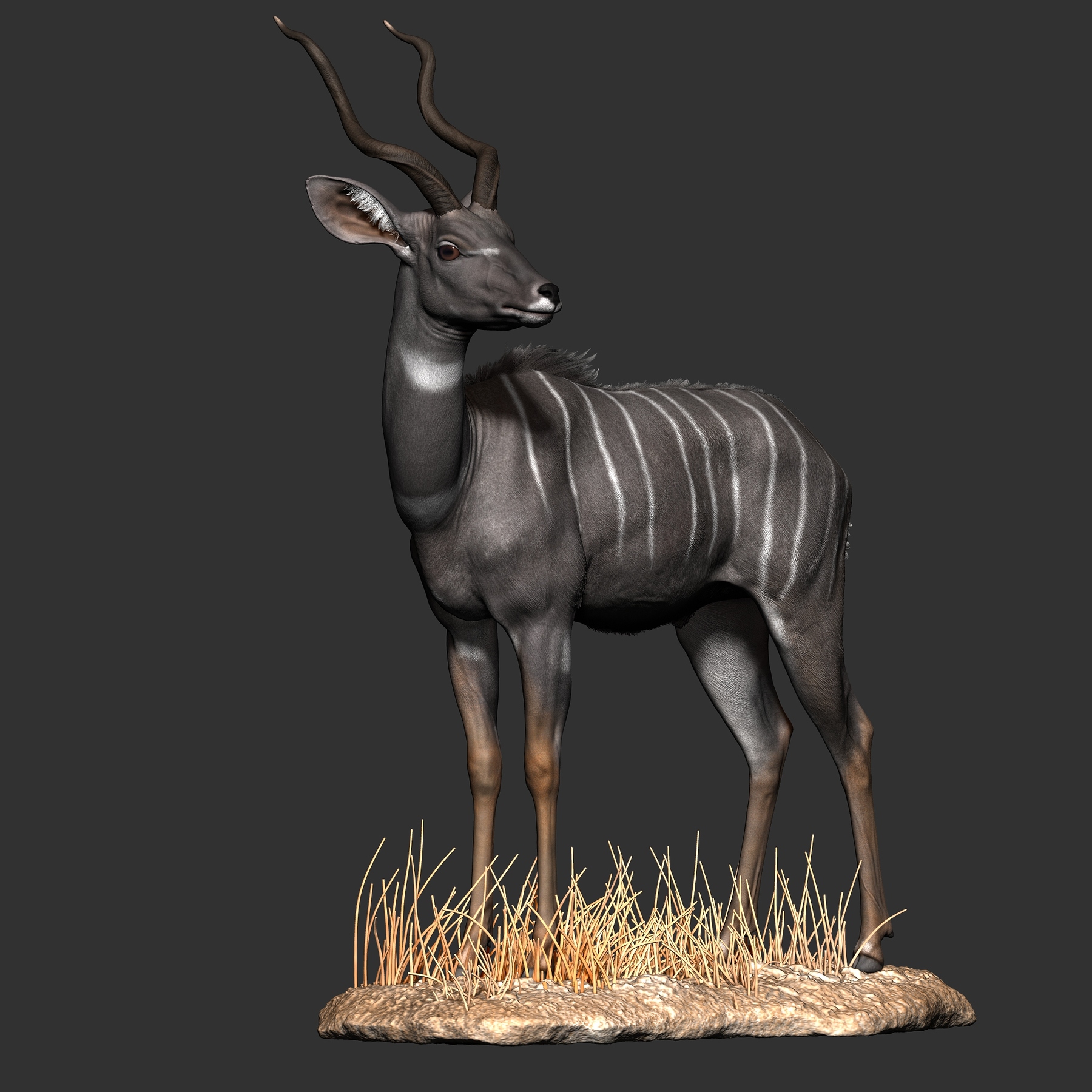 一组鹿3d建模渲染