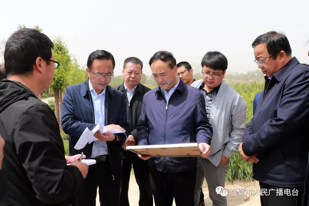 曹正民一行先后来到折桥镇后古村油菜花基地,南龙镇妥家村油菜花基地