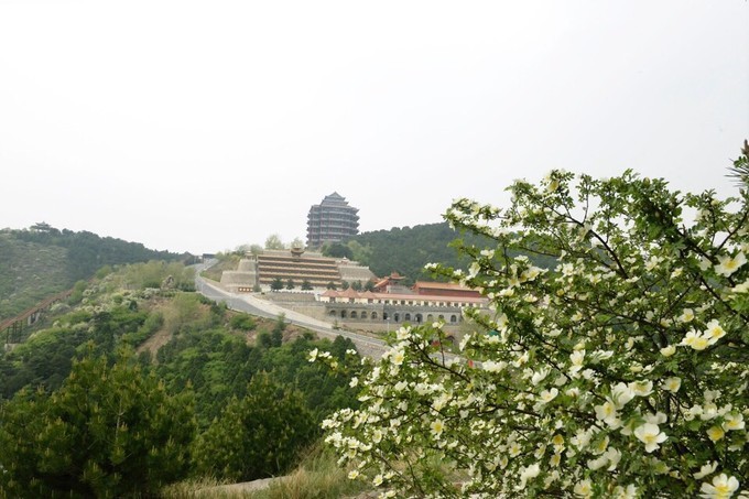 五月山西行黃土高原上的綠色明珠烏金山森林公園1日遊