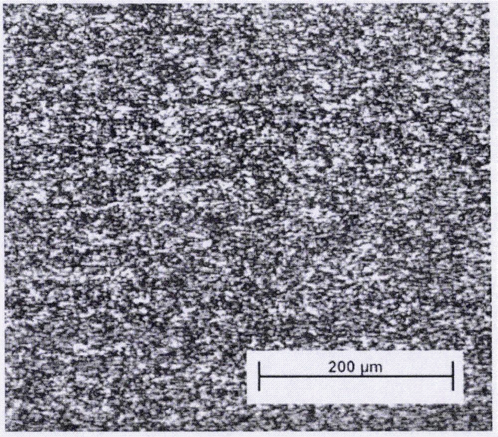 执行会长李强拜会镍资源国际董事长董书通交流索氏体不锈钢应用普及