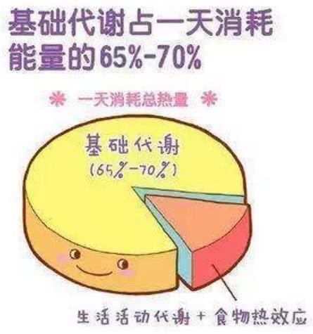 基礎代謝率是人在靜息狀態下,對身體消耗的能量,包括睡眠,呼吸,血液