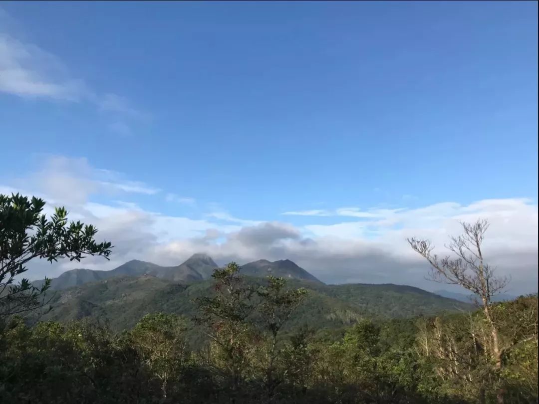 五段發起挑戰第三及第四段會跨越西貢西部數個山峰包括畫眉山與雞公山