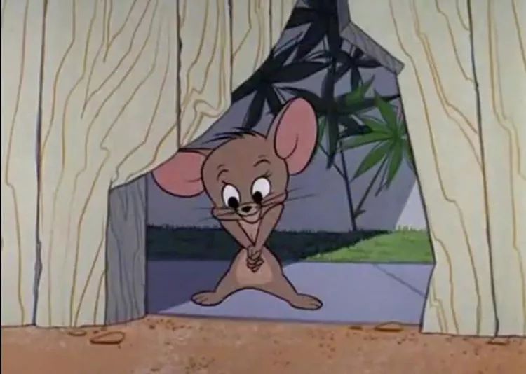 壁纸头像杰瑞背景图