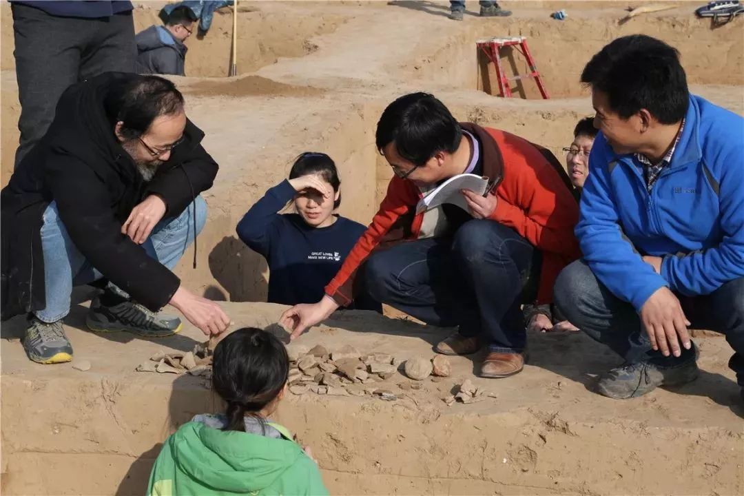 杨官寨考古队队长杨利平老师专辑来辽~这是"激情的"陕西考古人!