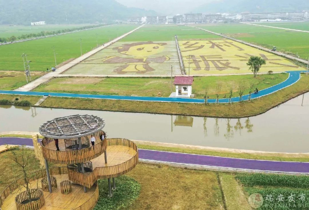 瑞安曹村天井垟景区图片