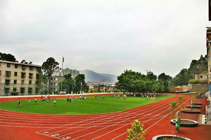 仁和区东风小学2019年一年级新生招生登记公告