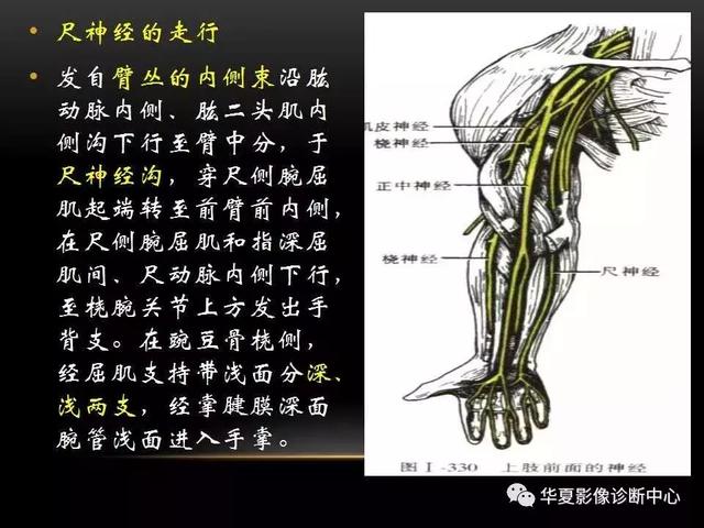 解剖專題丨腕關節疾病的mri 診斷與解剖