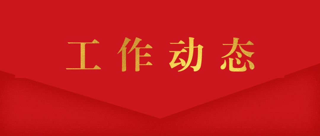 会议由局党组成员,副局长张佳主持,督察和执法监督处,国土空间规划处