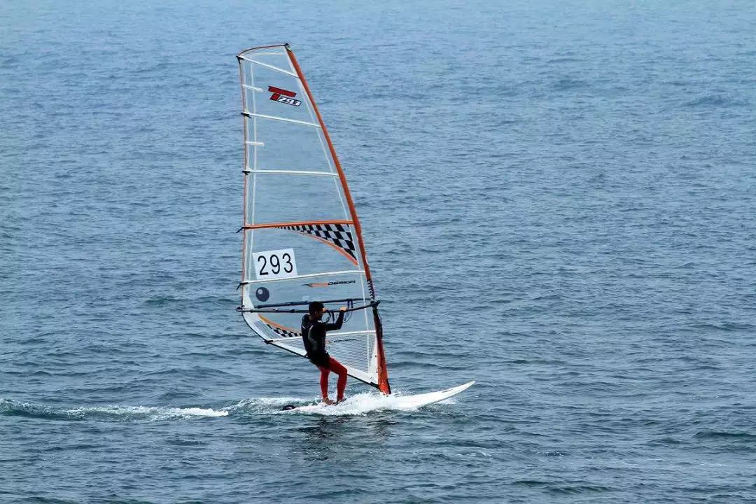 这个夏天,金牛湖水上帆船夏令营安排上了!