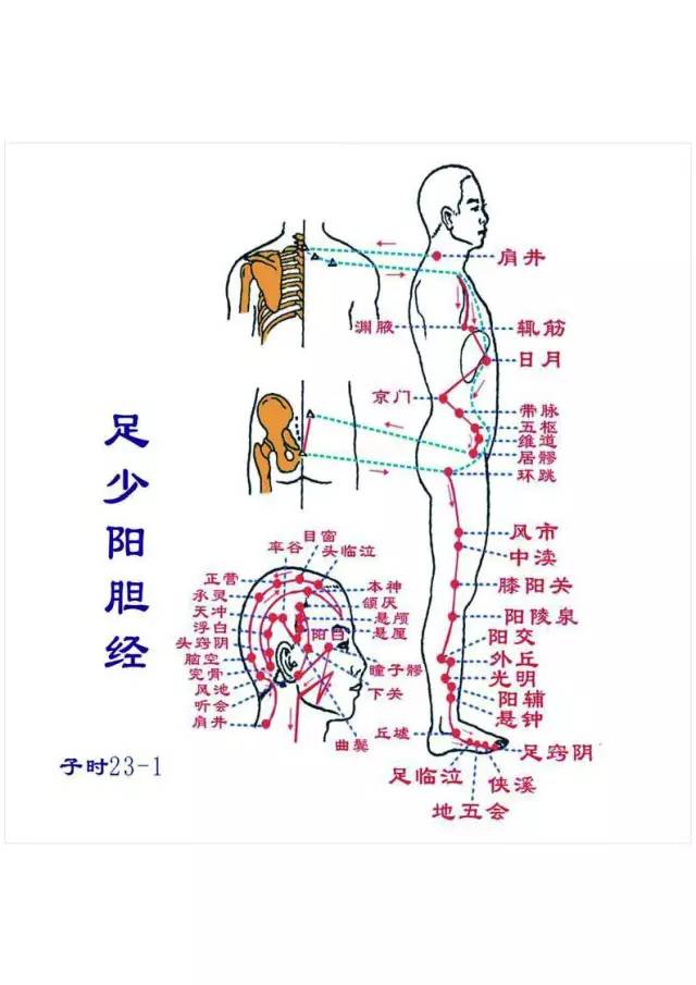 足少阳胆经,86个穴位别有洞天