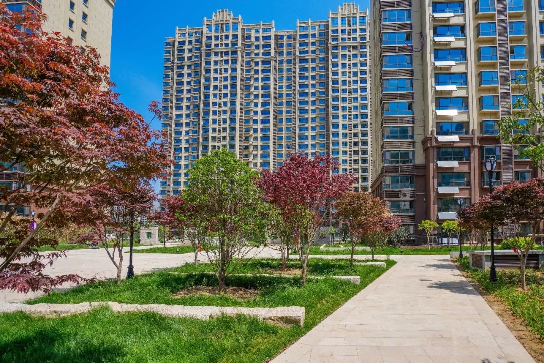 第四季家风印象年味图片 | 开始领奖了!