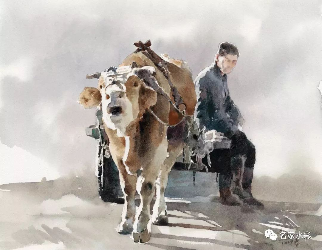 artist丨蒋智南zhinanjiang