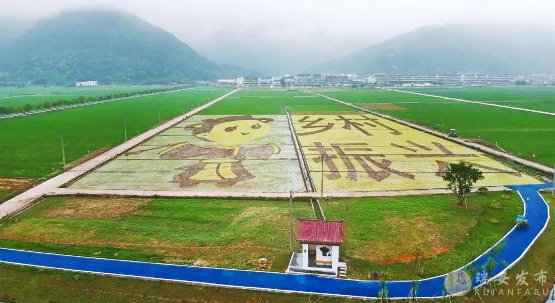 瑞安曹村天井垟景区图片