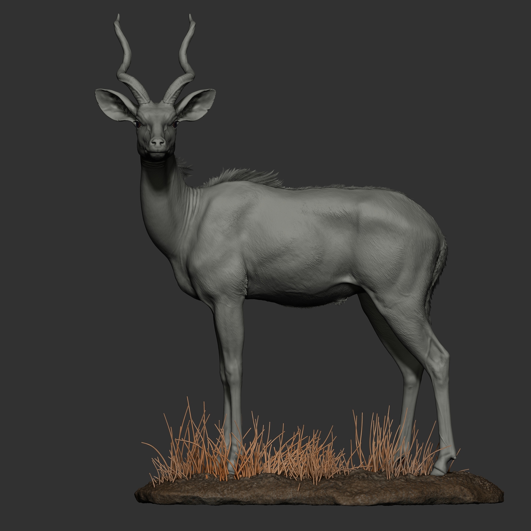 一组鹿3d建模渲染