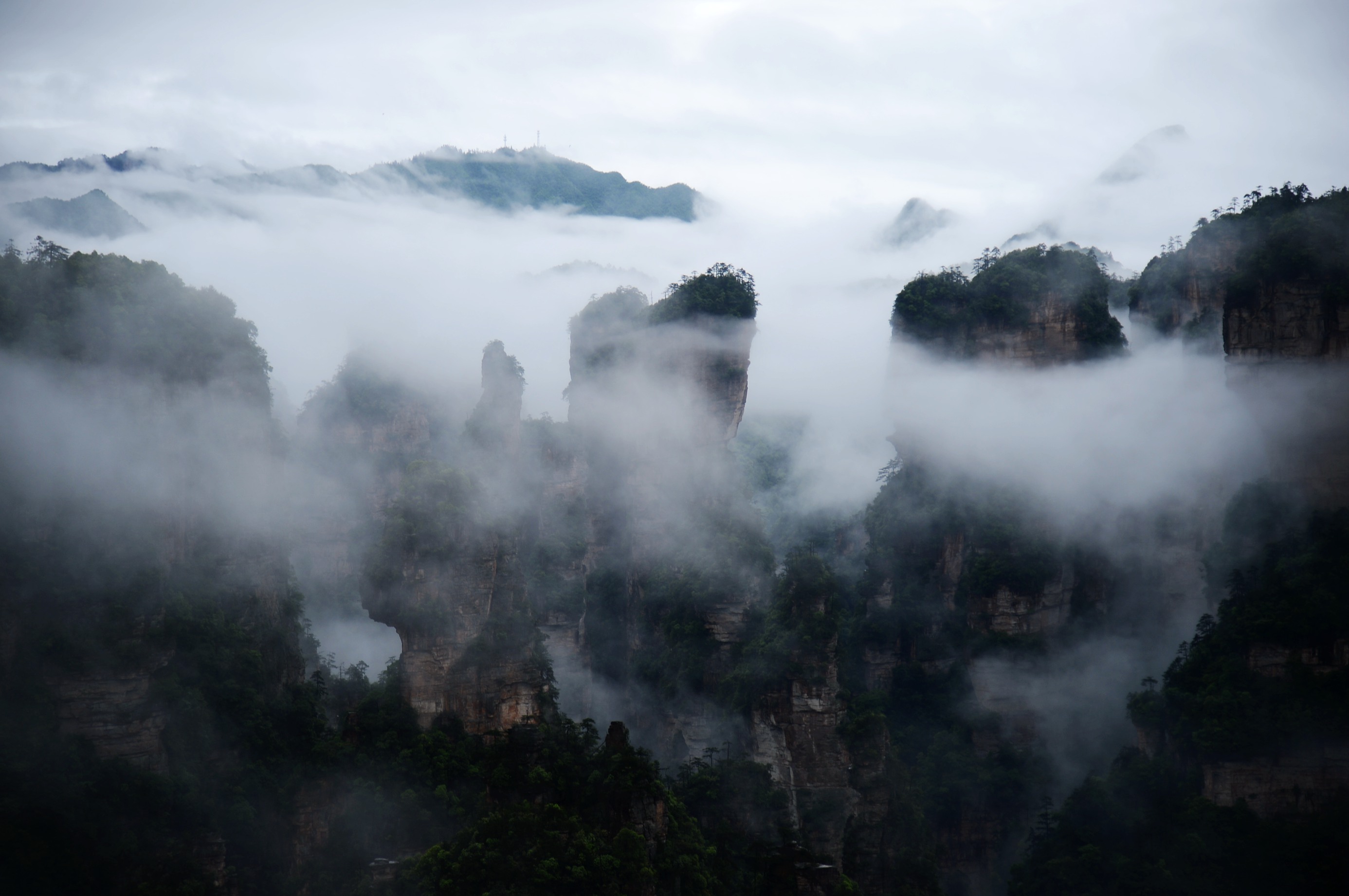 原创张家界武陵源今天的云海仙境让中外游客连连尖叫