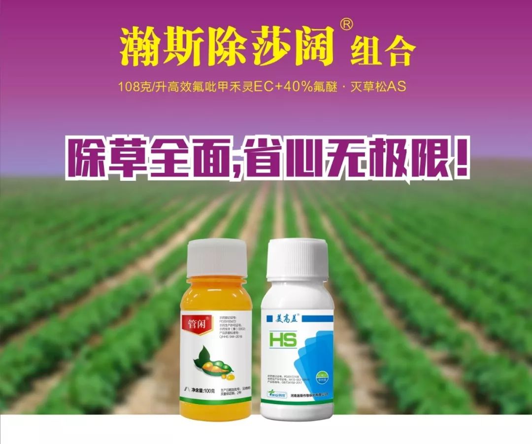 瀚斯除莎阔组合(108克/升高效氟吡甲禾灵ec 40%氟醚61灭草松as)除草