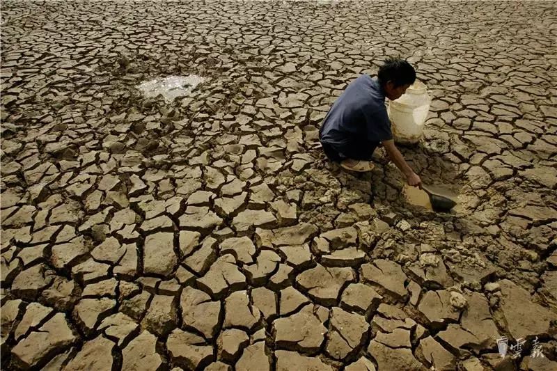 旱情影响:云南受灾作物已超200万亩