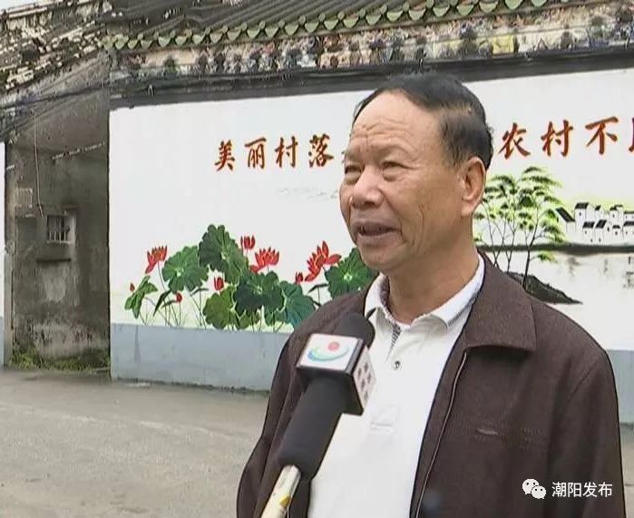 贵屿这个社区白天黑夜竟然这么美