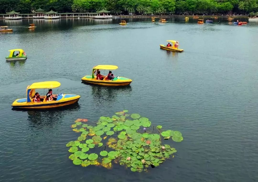 【動態】秀全公園人工湖