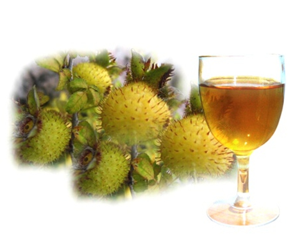 家庭酿酒技术刺梨酒的制作方法