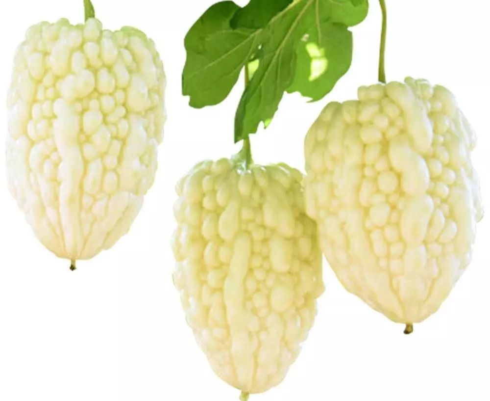 夏季热卖菜三打破苦味魔咒苦瓜也能惹人爱