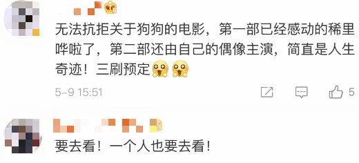 生生世世的陪伴送给爱狗的你