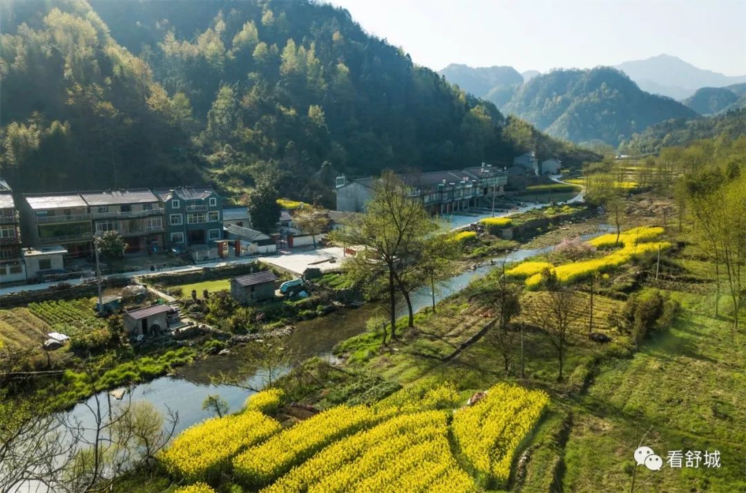 和平村春景