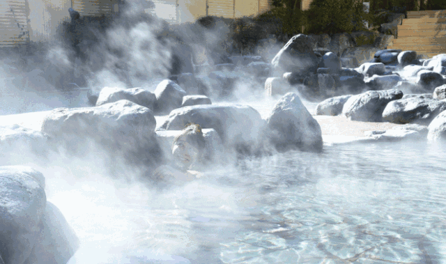 99元抢购原价268元浮生温泉汤屋成人票,周末节假日通用!