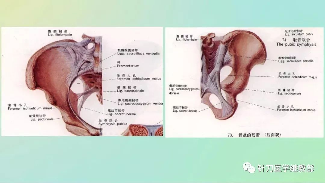 骶髂關節半脫位