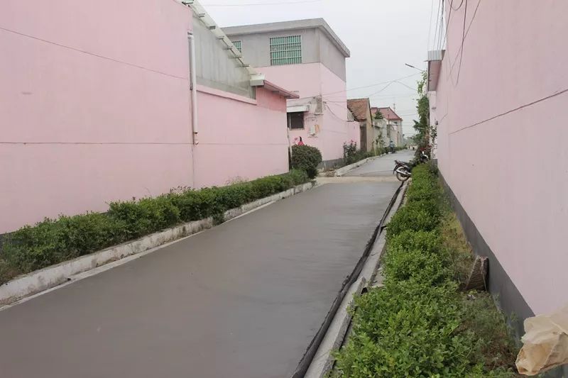 人心齐助力美丽乡村打造不断提升卫东村道路改造采访纪实