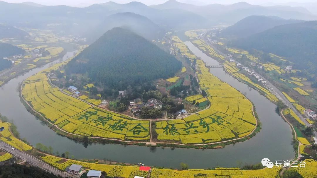 商水油菜花节图片