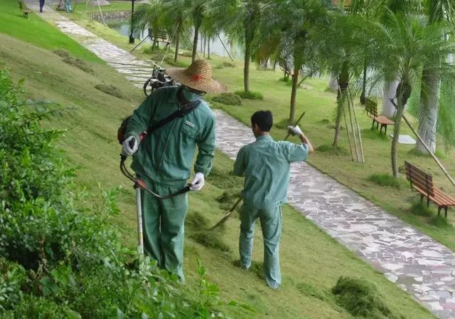 分享物業綠化養護七個基本點