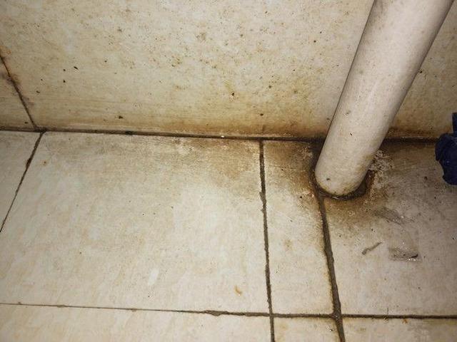 填缝剂不仅能够填补缝隙,还能修补开裂,破损的地板,而且填缝剂的价格