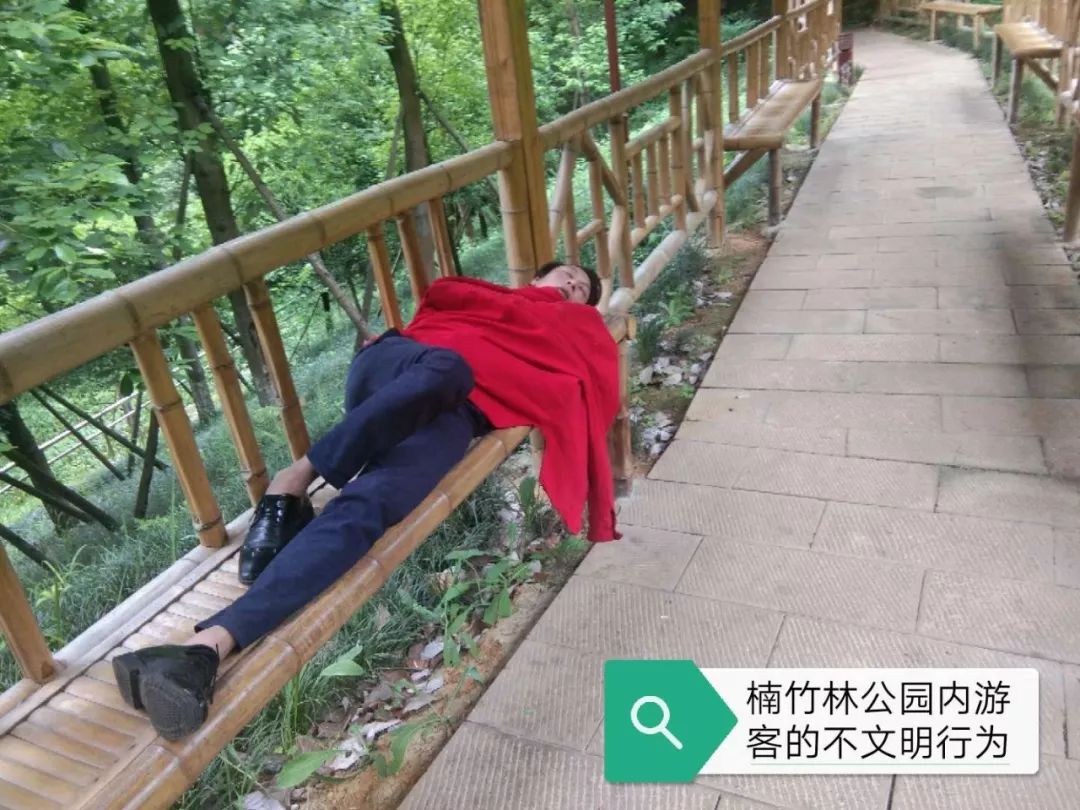 楠竹林公园,游客不文明行为太白路,行人横穿马路天豪水会门口,行人