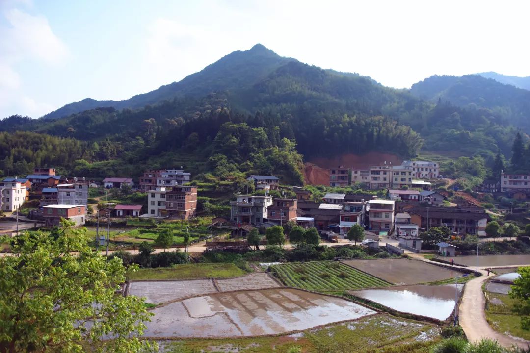 闽西日报盛赞南坊村美丽乡村变化太大了