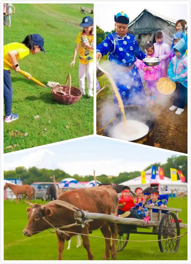 我是草原小牧人