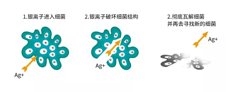 银离子的作用图片