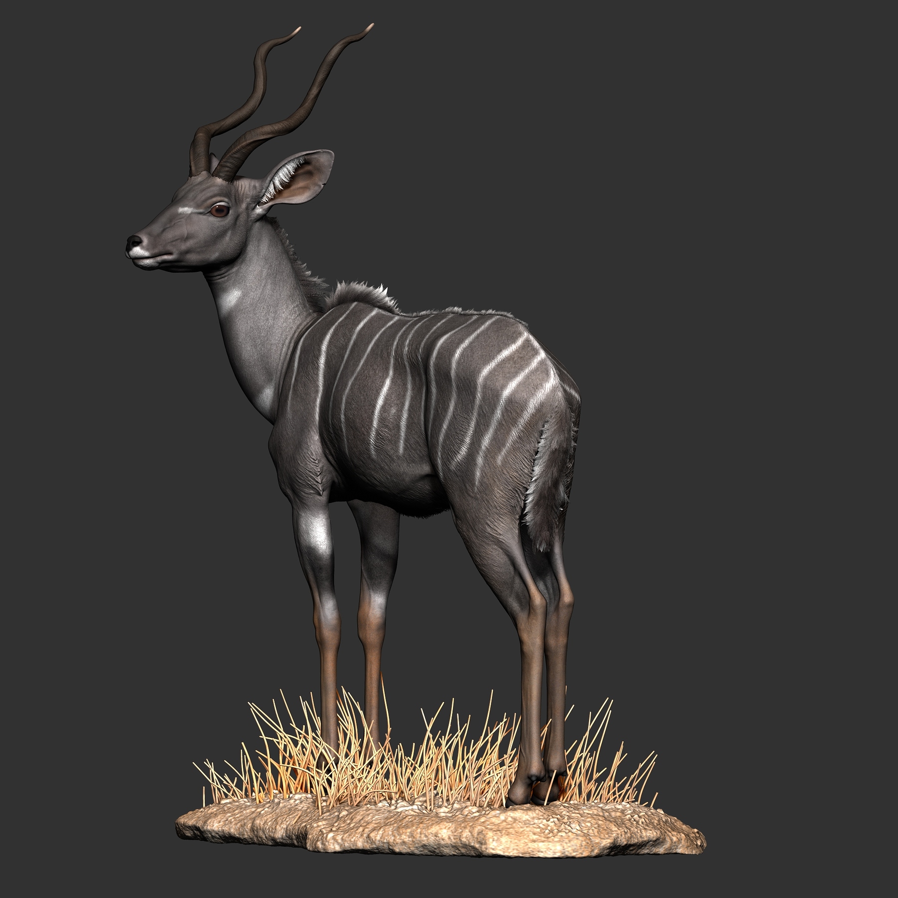 一组鹿3d建模渲染