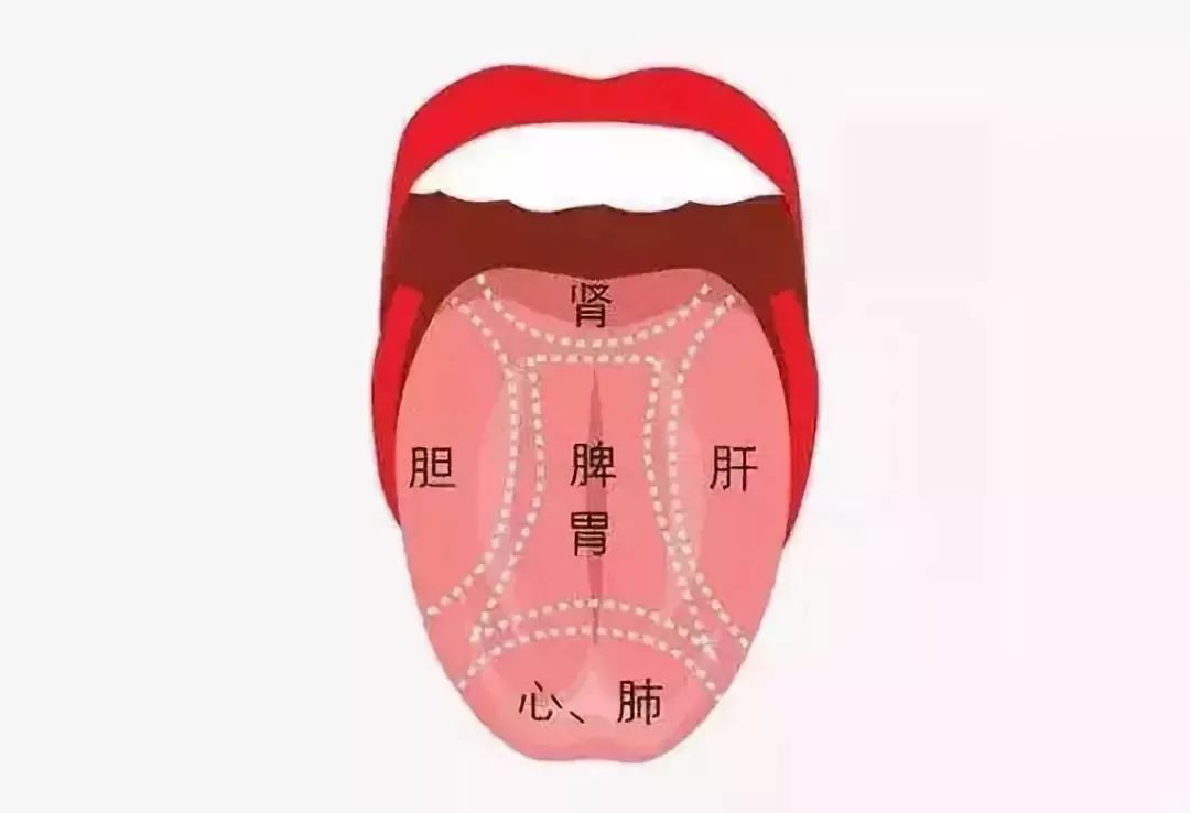 舌诊学的开山之作——《敖氏伤寒金镜录》_外感