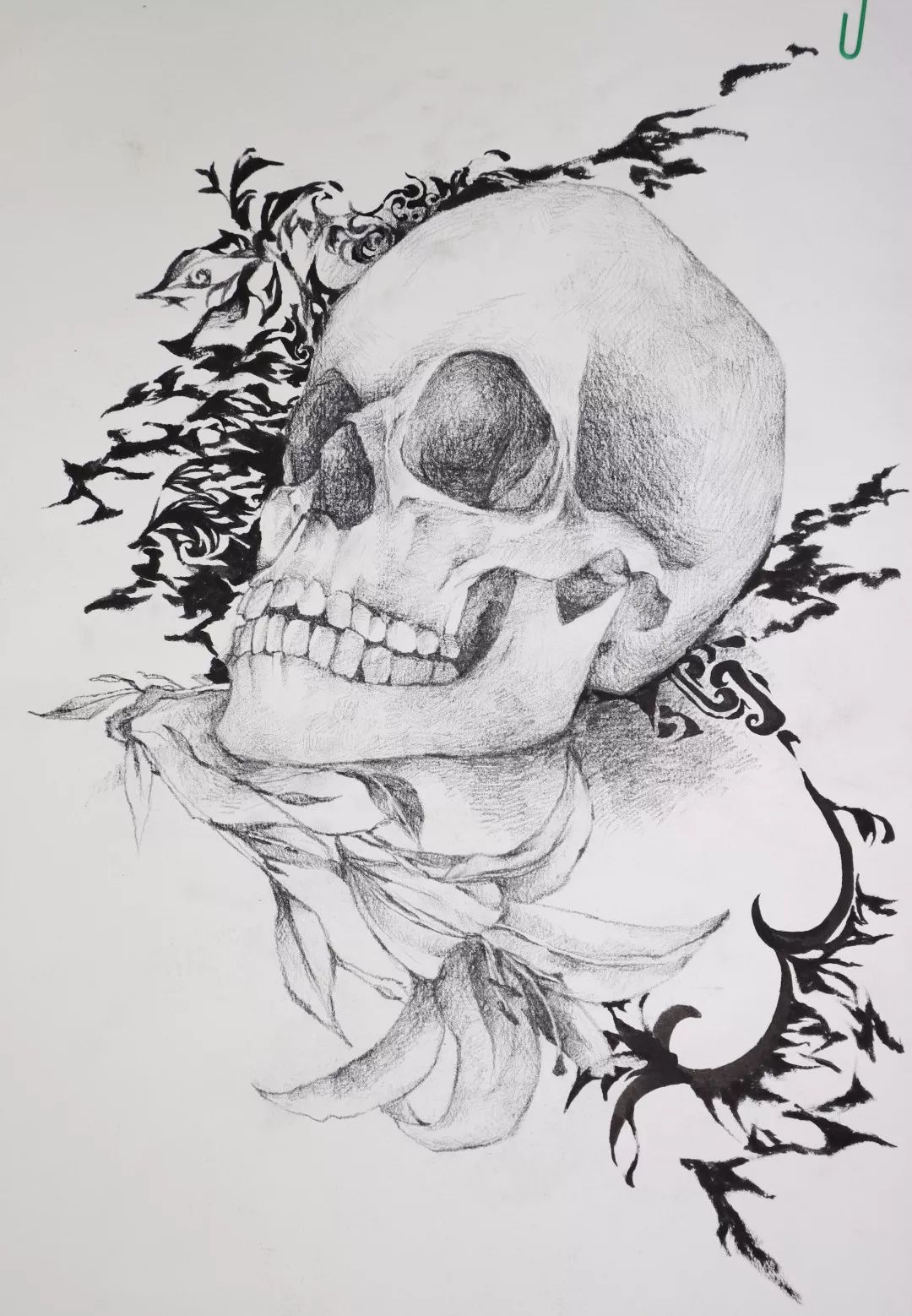 19号作品张雅《红颜枯骨》21号作品王灿《间充质干细胞》本次解剖绘图