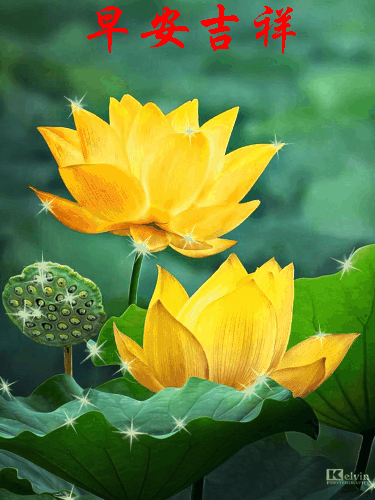 56115星期三《早安30吉祥》