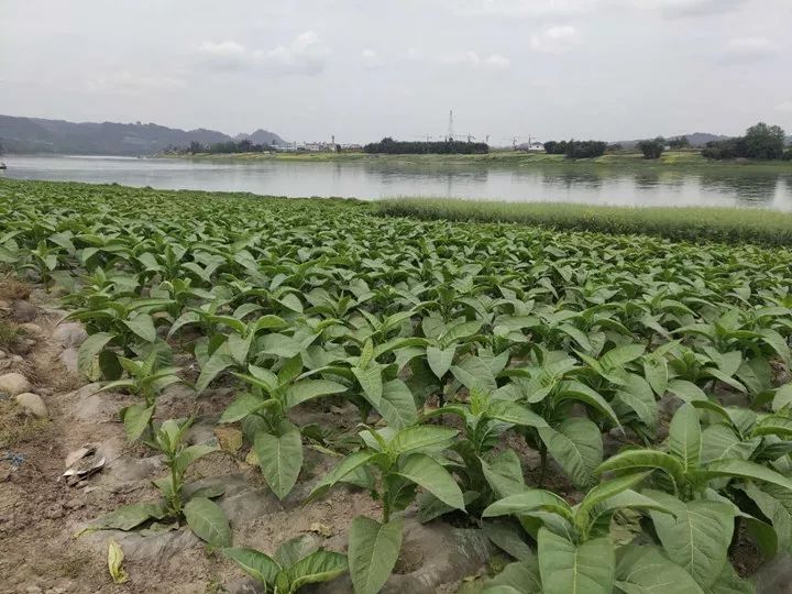 又一微商栽了宁波有人微信上买到假货警方一查不得了销往全国各地