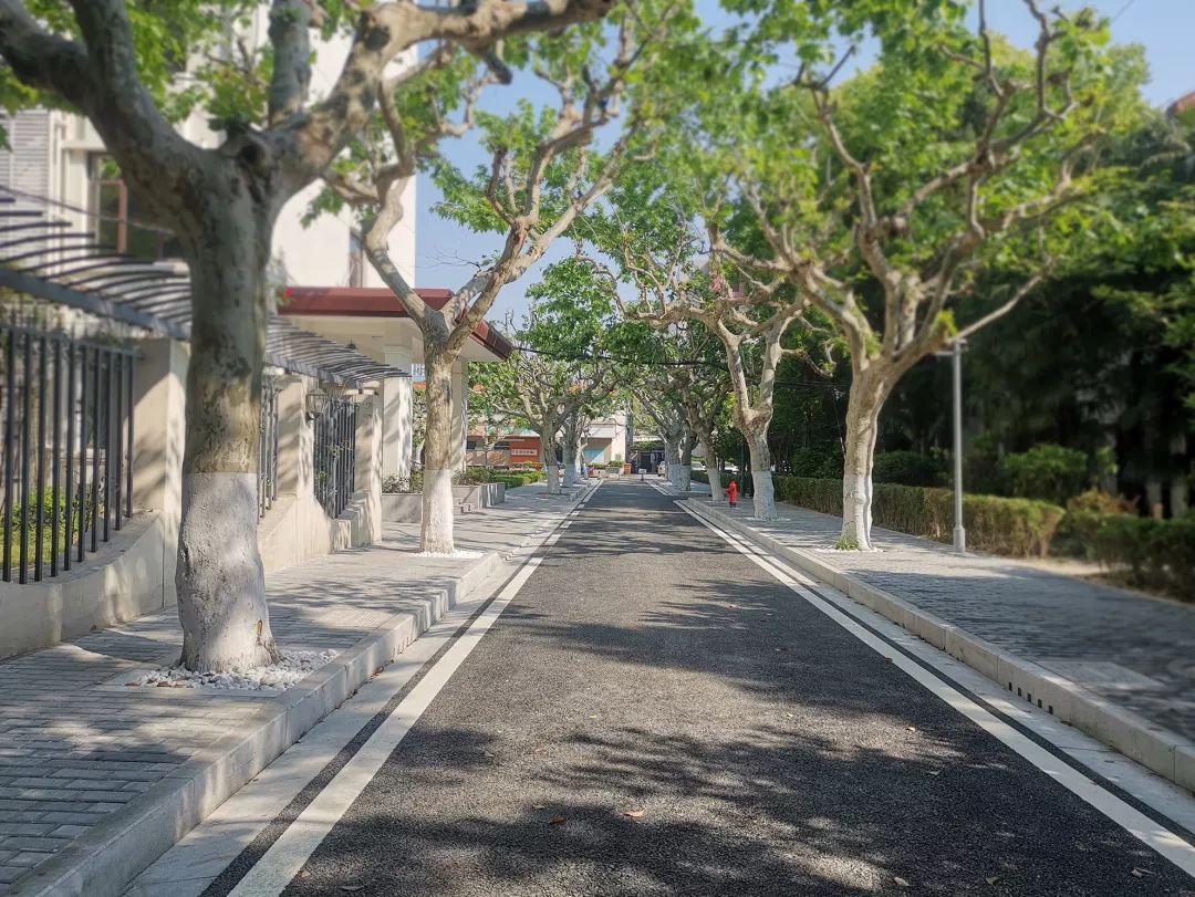 校园新变化!这些华理道路要升级改造啦!