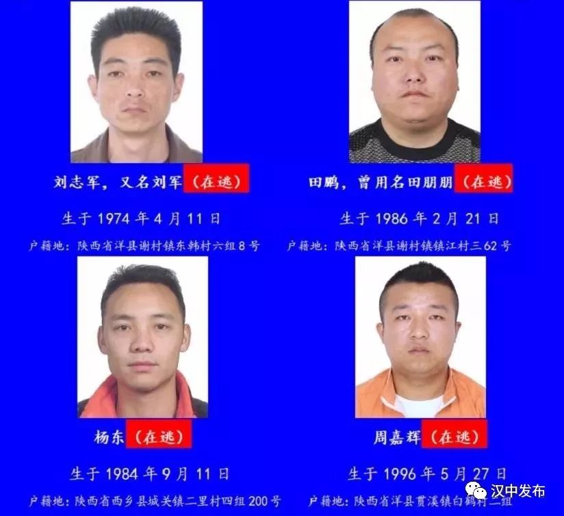 【关注】扫黑除恶·汉中在行动|汉中又打掉一个涉黑涉恶犯罪团伙,快来