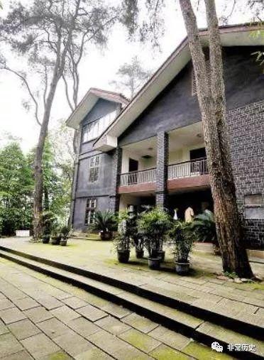 康国雄我那个蒋介石的干儿子的罪名是怎么来的