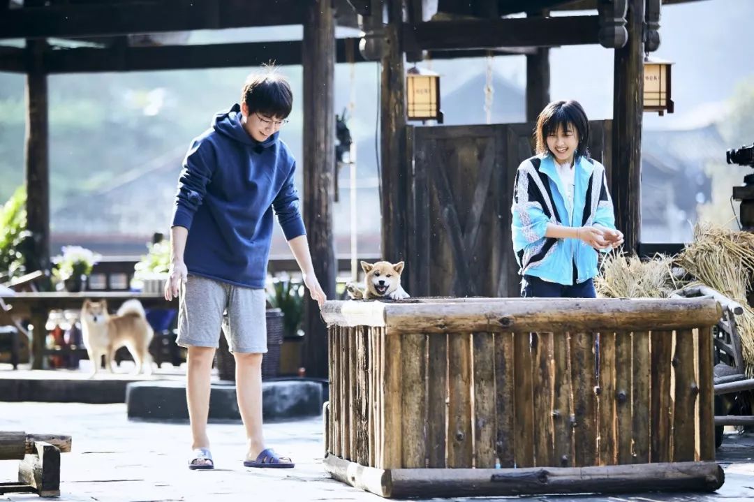 专访总导演陈格洲向往的生活3变与不变独家