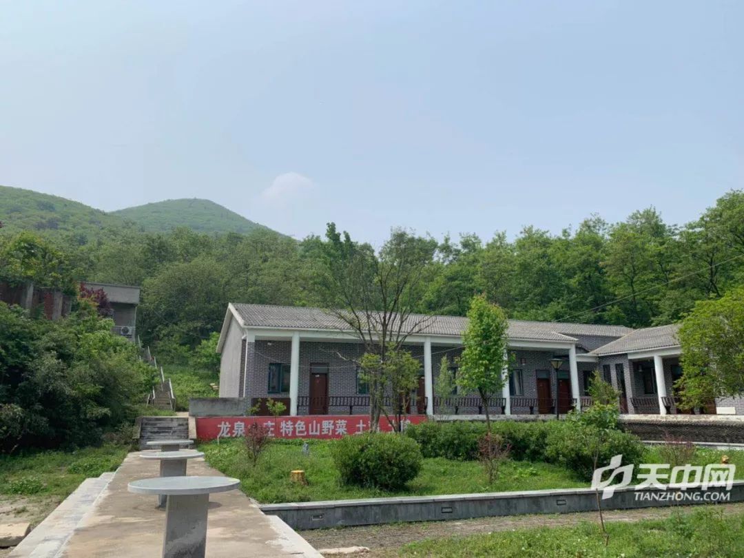 龙泉山因大名鼎鼎的天中龙泉而闻名,这座依偎在山脚下的庄子自08年到
