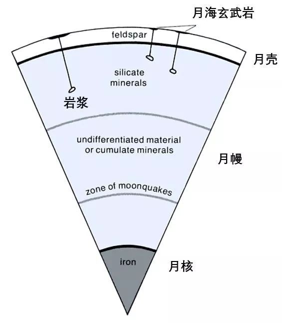 月球结构剖面图图片